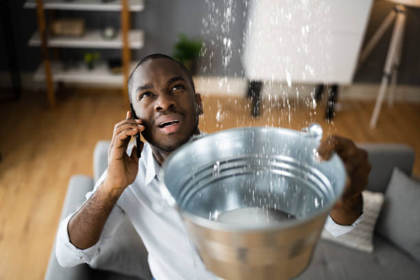 Best Ceiling water damage repair  in Nederland, CO