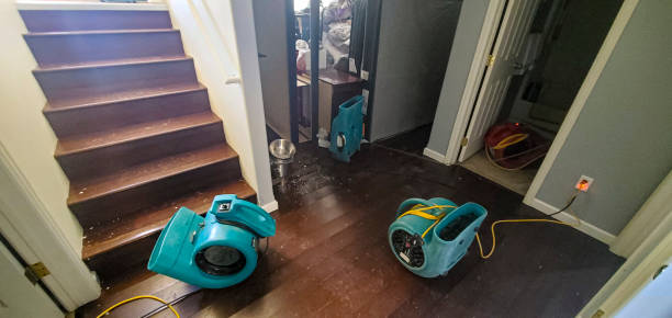 Best Sewage cleanup and water damage restoration  in Nederland, CO