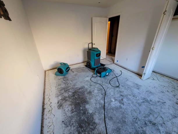 Best Water damage restoration near me  in Nederland, CO