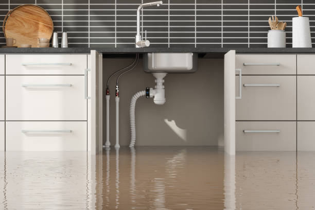 Best Residential water damage restoration  in Nederland, CO